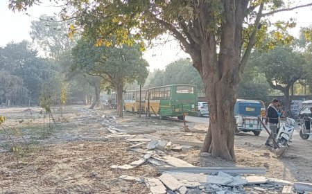 नगर निगम जोन-8 के हिन्दनगर में 20 करोड़ भी कब्जा मुक्त