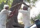 खेत मे बकरियां जाने पर बुजुर्ग को बेरहमी से पीटा