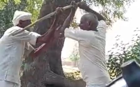 खेत मे बकरियां जाने पर बुजुर्ग को बेरहमी से पीटा