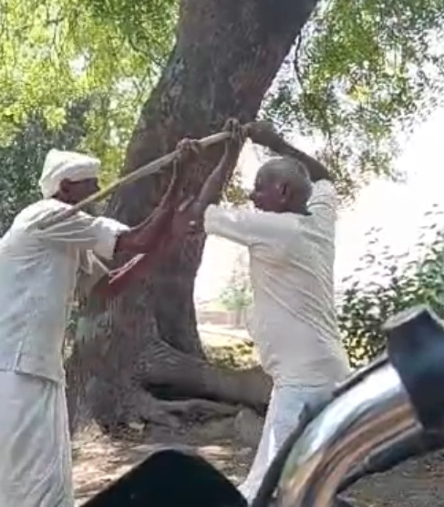 खेत मे बकरियां जाने पर बुजुर्ग को बेरहमी से पीटा