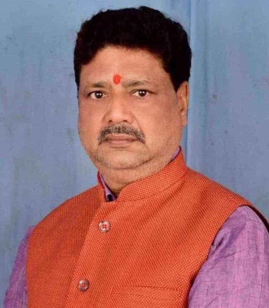 राजेश सिंह चैहान भाजपा प्रदेश कार्यसमिति के सदस्य मनोनीत